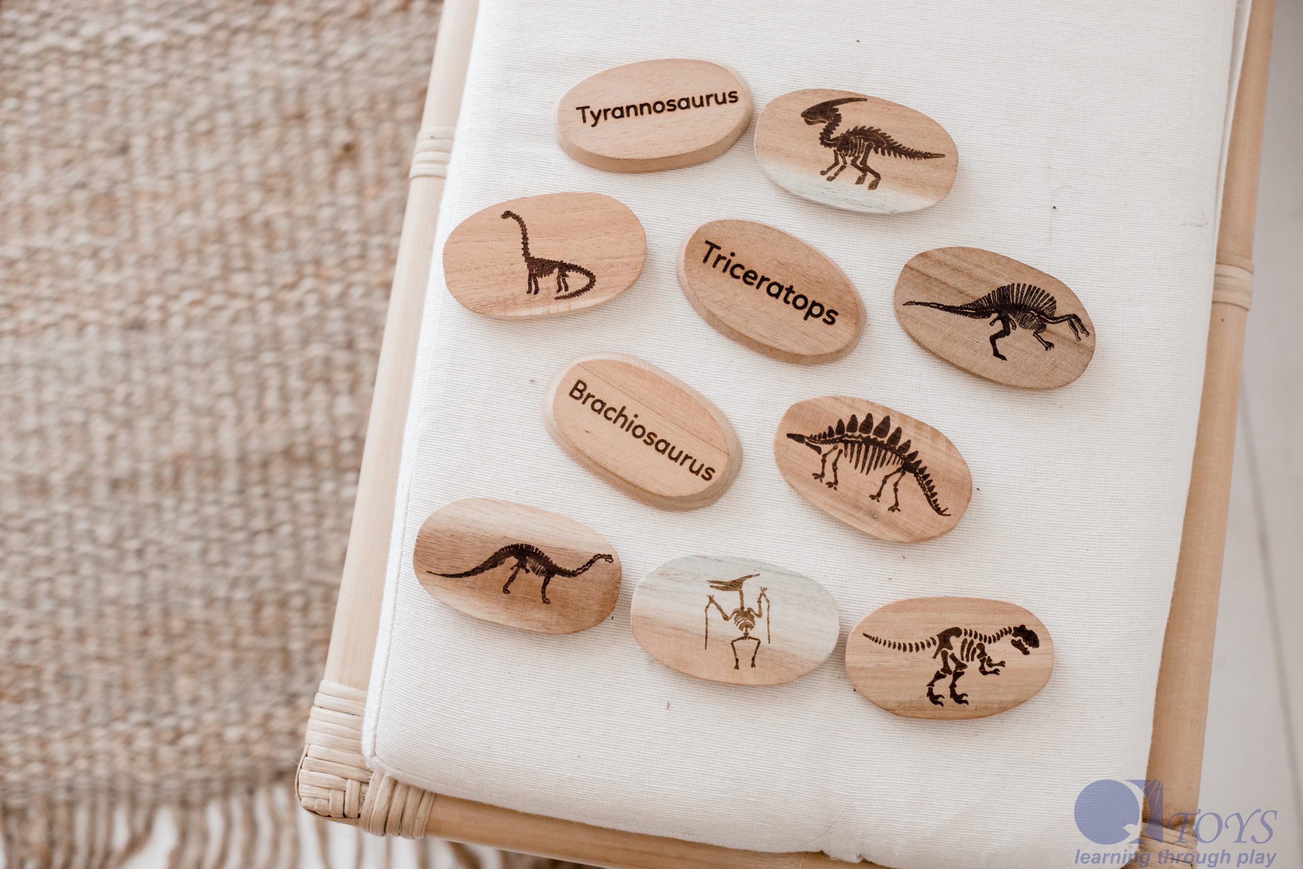 Dinosaur Stones Set of 10