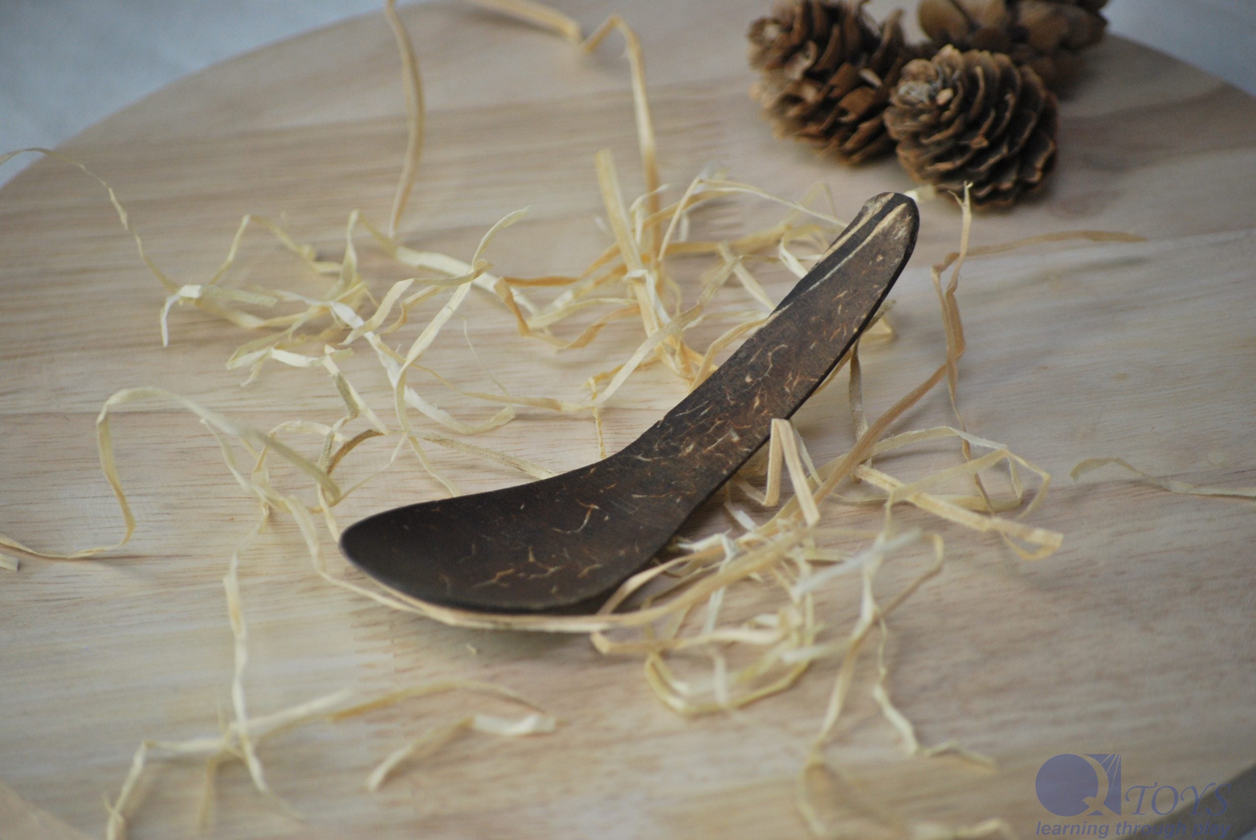 Coconut Shell Spoon