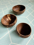 Coconut Bowls Set of 3