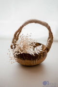Coconut Basket